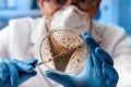 Microbiologist working with petri dish for analysis in the microbiology laboratory Royalty Free Stock Photo