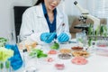 Microbiologists and nutrition experts analyze molecular samples in advanced food science labs Royalty Free Stock Photo