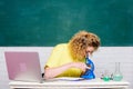 Microbiology concept. Student girl with laptop and microscope. Molecular biology PhD projects. Scientist microbiology