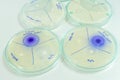 Microbiology laboratory test Royalty Free Stock Photo