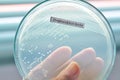 Microbiology laboratory test Royalty Free Stock Photo