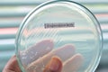 Microbiology laboratory test Royalty Free Stock Photo