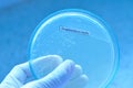 Microbiology laboratory test Royalty Free Stock Photo