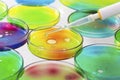 Microbiology - Pipette with drop liquid and petri dishes Royalty Free Stock Photo