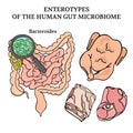 MICROBIOM ENTEROTYPES BACTEROIDES Medicine Vector Illustration