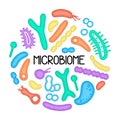 Microbiome illustration of bacteria. Vector image. Gastroenterologist. Bifidobacteria, lactobacilli. Lactic acid