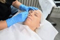 Permanent makeup on the eyebrows Royalty Free Stock Photo