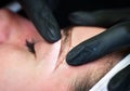 Microblading eyebrows, getting facial care and tattoo at beauty salon Royalty Free Stock Photo