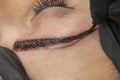 Microblading with ink needle Royalty Free Stock Photo