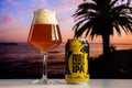 Microbrasserie Vox Populi Double Fruit Punch IPA Beer Beach Sunset Royalty Free Stock Photo