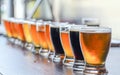Microbrewery Craft Beer Tasting Flight Royalty Free Stock Photo