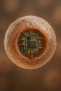 Microchip embedded in organic tissue concept Royalty Free Stock Photo