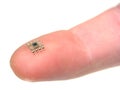 Microchip on a fingertip Royalty Free Stock Photo