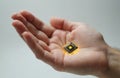 Microchip held in human hand. Concept tech future, biotechnology, digital transformation, AI, cybernetics, bionics. Innovation Royalty Free Stock Photo