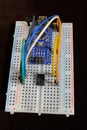 A microcontroller development board on a breadboard Royalty Free Stock Photo