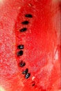 microcosmic of watermelon with watermelon seeds Royalty Free Stock Photo