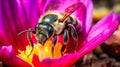 Close up shot of a bee pollinating a colorful flower