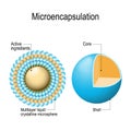 Microencapsulation mechanism Royalty Free Stock Photo