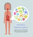 Microflora Digestive System Vector Illustration Royalty Free Stock Photo