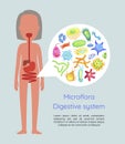 Microflora Digestive System Vector Illustration