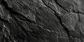 Microfossil Pattern on Rock Royalty Free Stock Photo