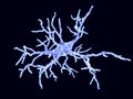 Microglial cell in the resting form