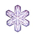 A micrographic snowflake (snow crystal) in white background