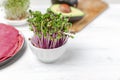 Microgreen kress, pink radish sprouts, beetroot pancakes, avocado on white wooden background, copy space