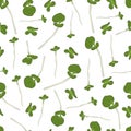 Microgreen. Seamless pattern. Royalty Free Stock Photo