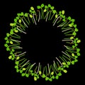 Microgreens Arugula. Arranged in a circle. Black background