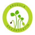 Microgreens Arugula. Seed packaging design, round element in the center. Sprouting seeds of a plant