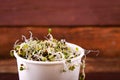 Microgreens assortment in paper cup. Healthy Green Salad with fresh raw sprouts