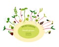 Microgreens frame. Hand drawn botanical label or emblem. Organic product. Green sprouts. Growing seed. Seedling with