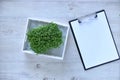 Microgreens growing background with microgreen sprouts on the table with a tablet to record and place for text. Royalty Free Stock Photo
