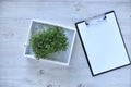 Microgreens growing background with microgreen sprouts on the table with a tablet to record and place for text. Royalty Free Stock Photo