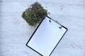 Microgreens growing background with microgreen sprouts on the table with a tablet to record and place for text. Seed Germination Royalty Free Stock Photo