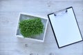 Microgreens growing background with microgreen sprouts on the table with a tablet to record and place for text. Seed Germination Royalty Free Stock Photo