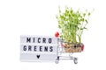 Microgreens isolated on white. micro greens for sale. Vitamins from nature. Vegan and healthy superfood delivery service