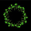 Microgreens Mizuna. Arranged in a circle. White background. Black background