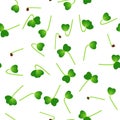 Microgreens Mizuna. Sprouting seeds of a plant. Seamless pattern. Vitamin supplement, vegan food.