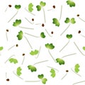 Microgreens Pak Choi. Sprouting seeds of a plant. Seamless pattern. Vitamin supplement, vegan food