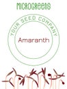 Microgreens Red Amaranth. Seed packaging design, text Royalty Free Stock Photo
