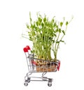 Microgreens in shopping cart isolated on white. micro greens for sale