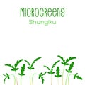 Microgreens Shungiku. Seed packaging design. Sprouting seeds of a plant