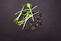 Microgreens sunflower at black background. Healthy lifestyle.