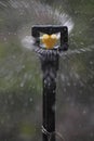 Microjet Sprinkler Royalty Free Stock Photo