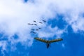 Microlight flying across a blue cloudy sky and followed by migrating gooses Royalty Free Stock Photo