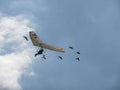 Microlight flying with geese Royalty Free Stock Photo