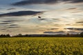 Microlight flying over Yorkshire countryside - England