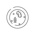 microorganism, bacteria, petri dish line icon on white background